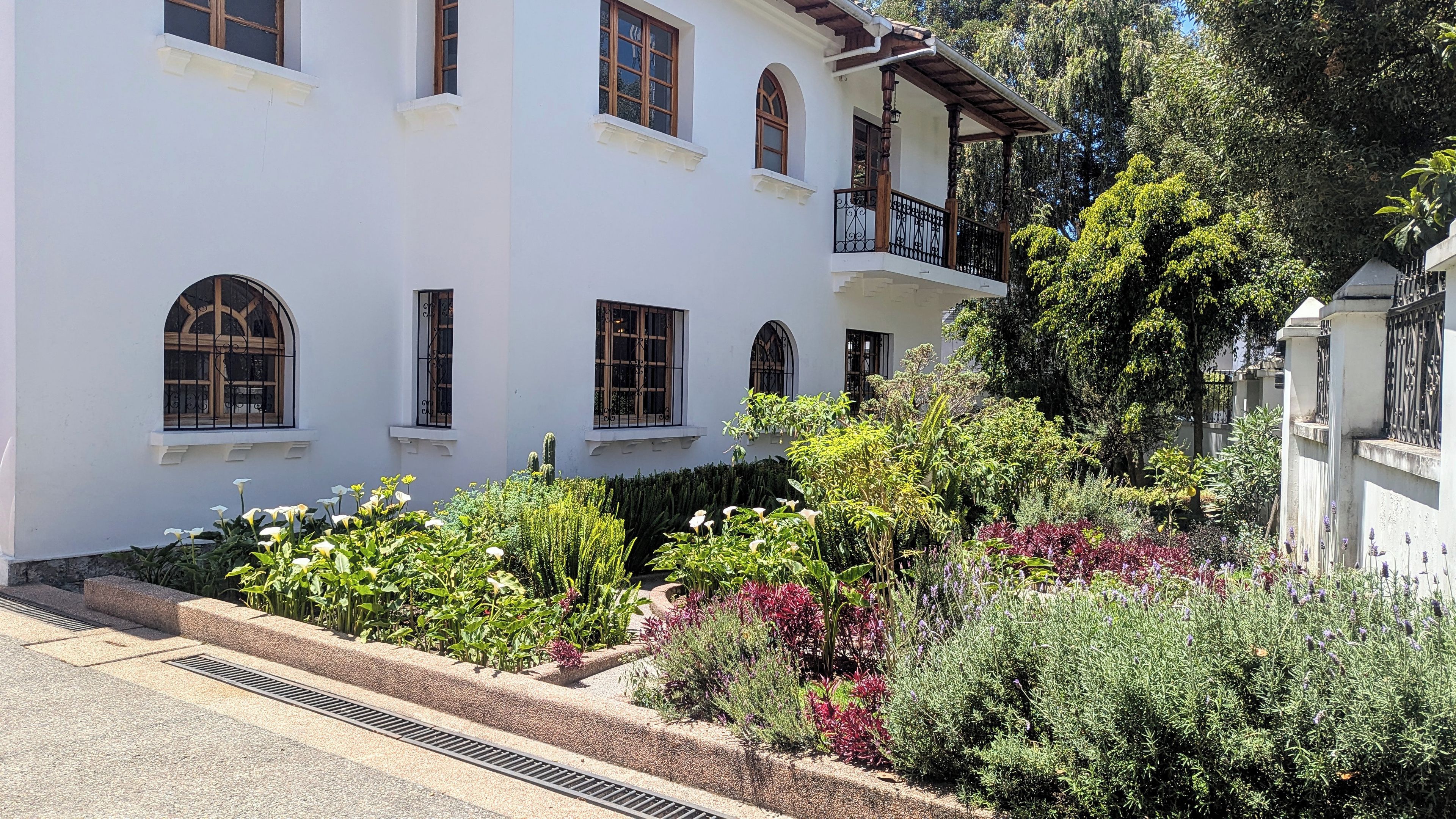 Un bâtiment blanc doté de nombreuses fenêtres et de balcons, entouré d’une végétation luxuriante et de diverses plantes.