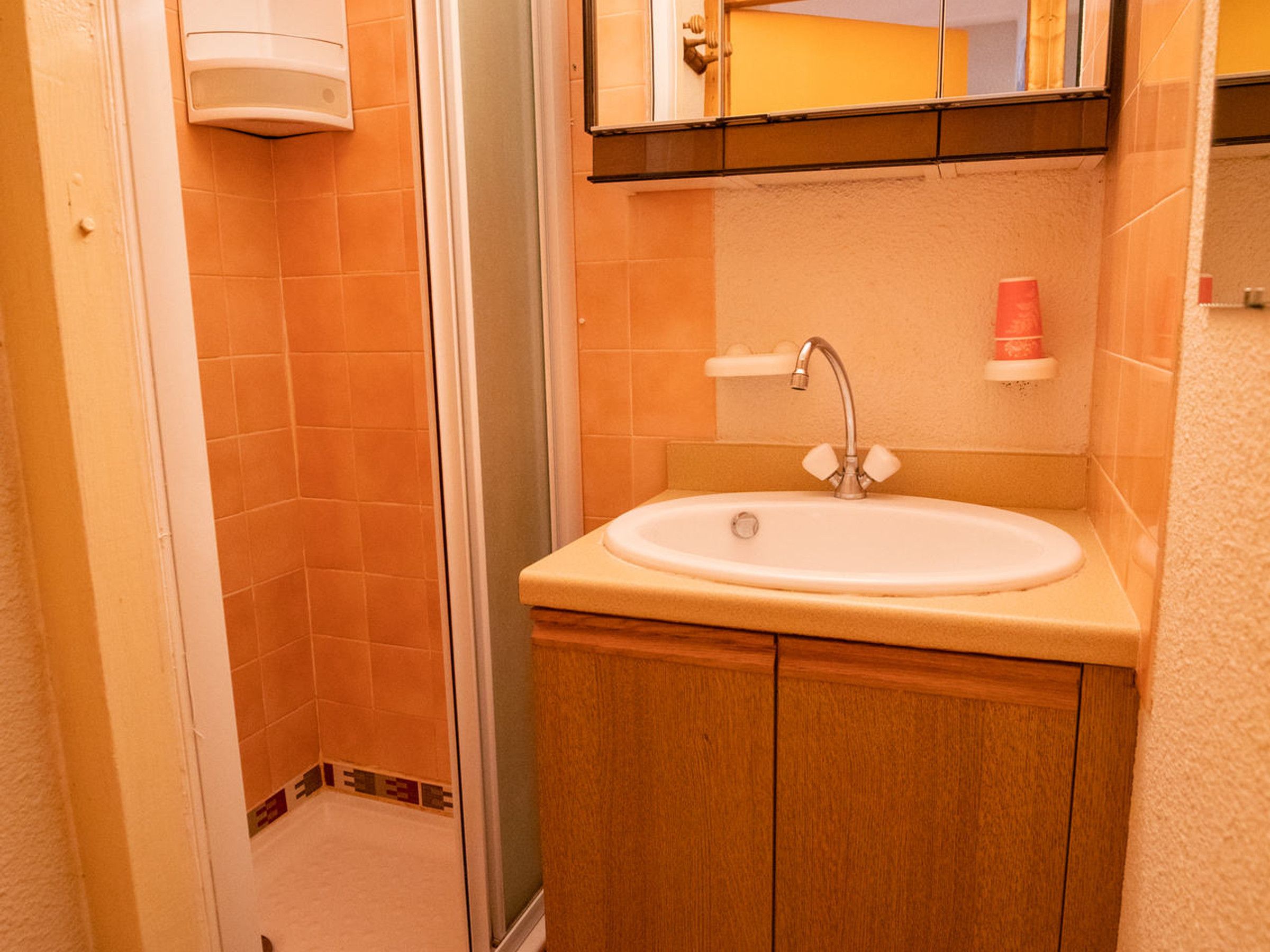 A bathroom with a sink, mirror, and shower.
