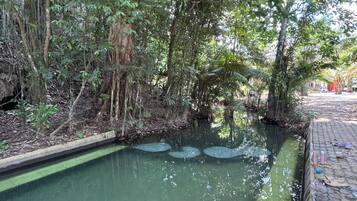 Alberca al aire libre por temporada