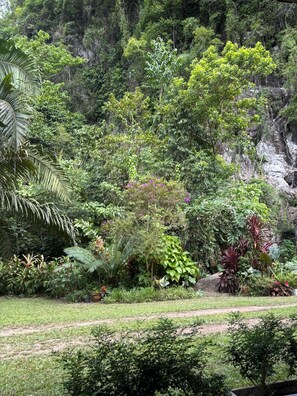 A lush garden with various plants and a dirt path. - khaosoksaengtawanresortandcamp (Phanom)