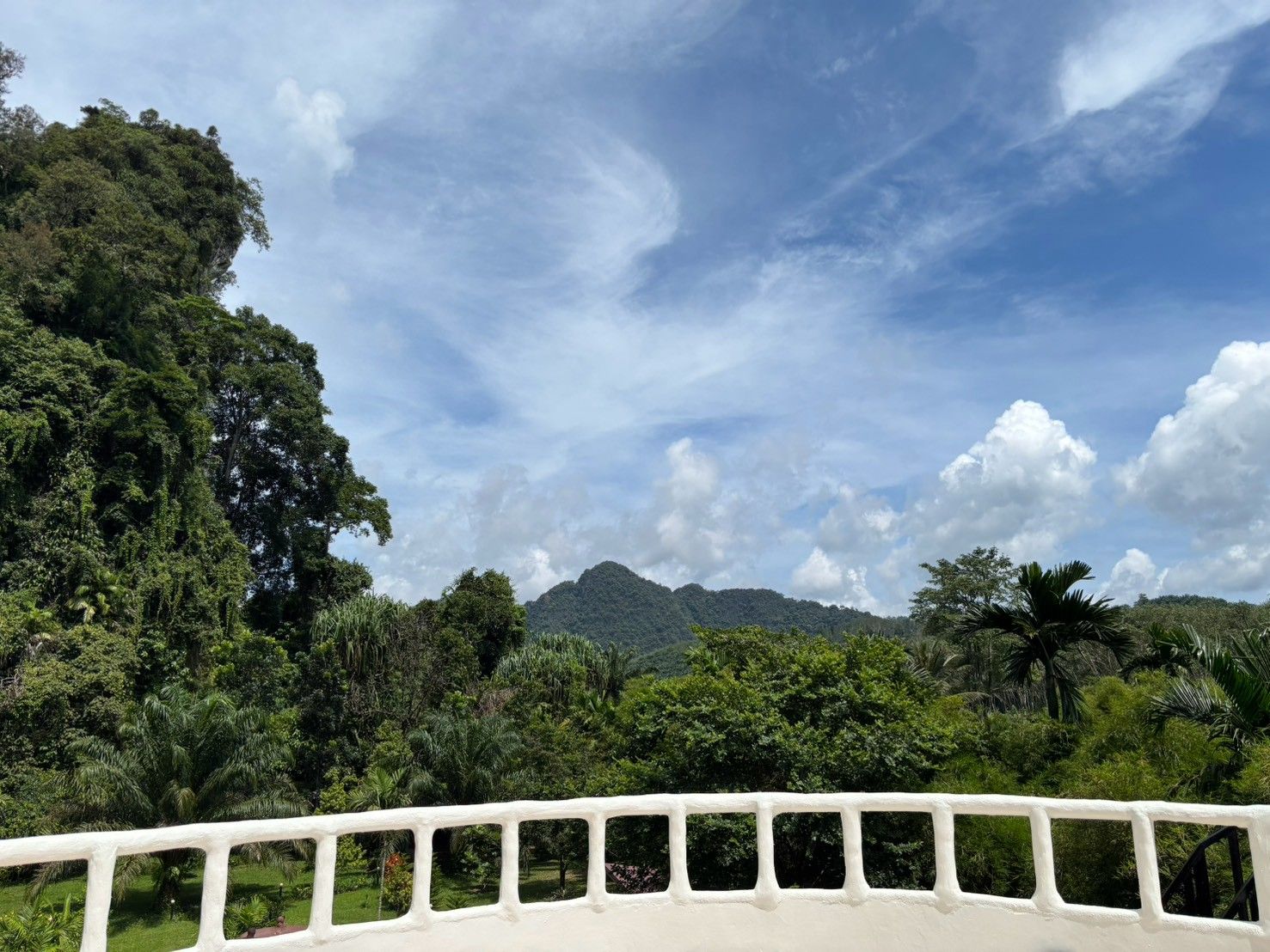 Un paisaje exuberante y verde con una barandilla blanca en primer plano.
