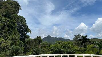 Un paisaje exuberante y verde con una barandilla blanca en primer plano.