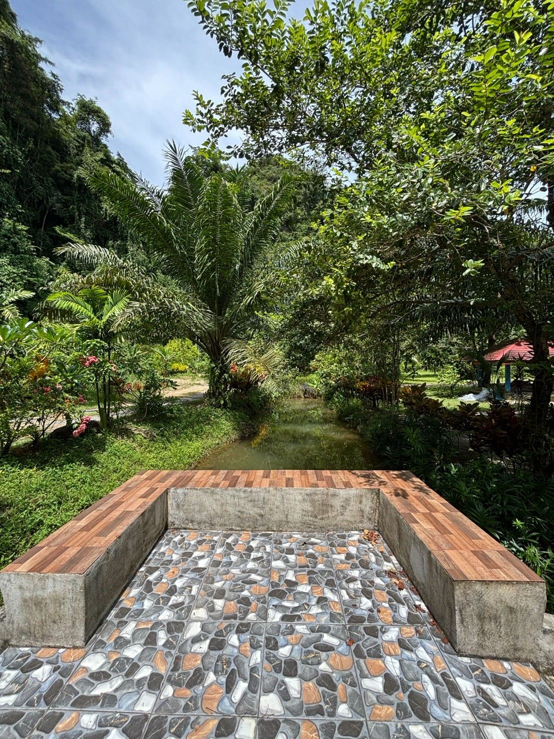 Um jardim com área pavimentada e diversas plantas.