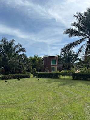 Un área con césped, un edificio, palmeras y cielo despejado.