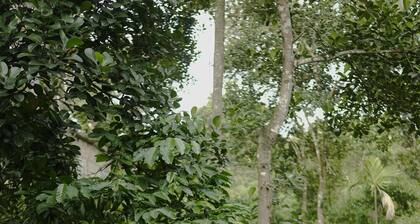 Neerthanal , A Private Villa with Natural Stream & Forest Views in Wayanad