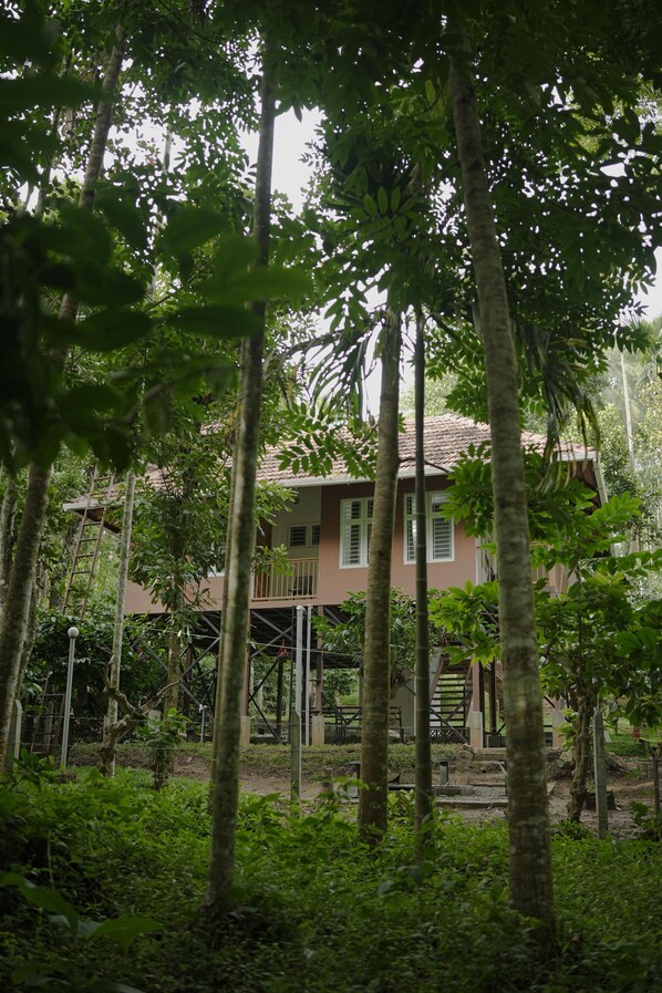 A two-story building surrounded by dense greenery, with a visible staircase leading to the upper floor.