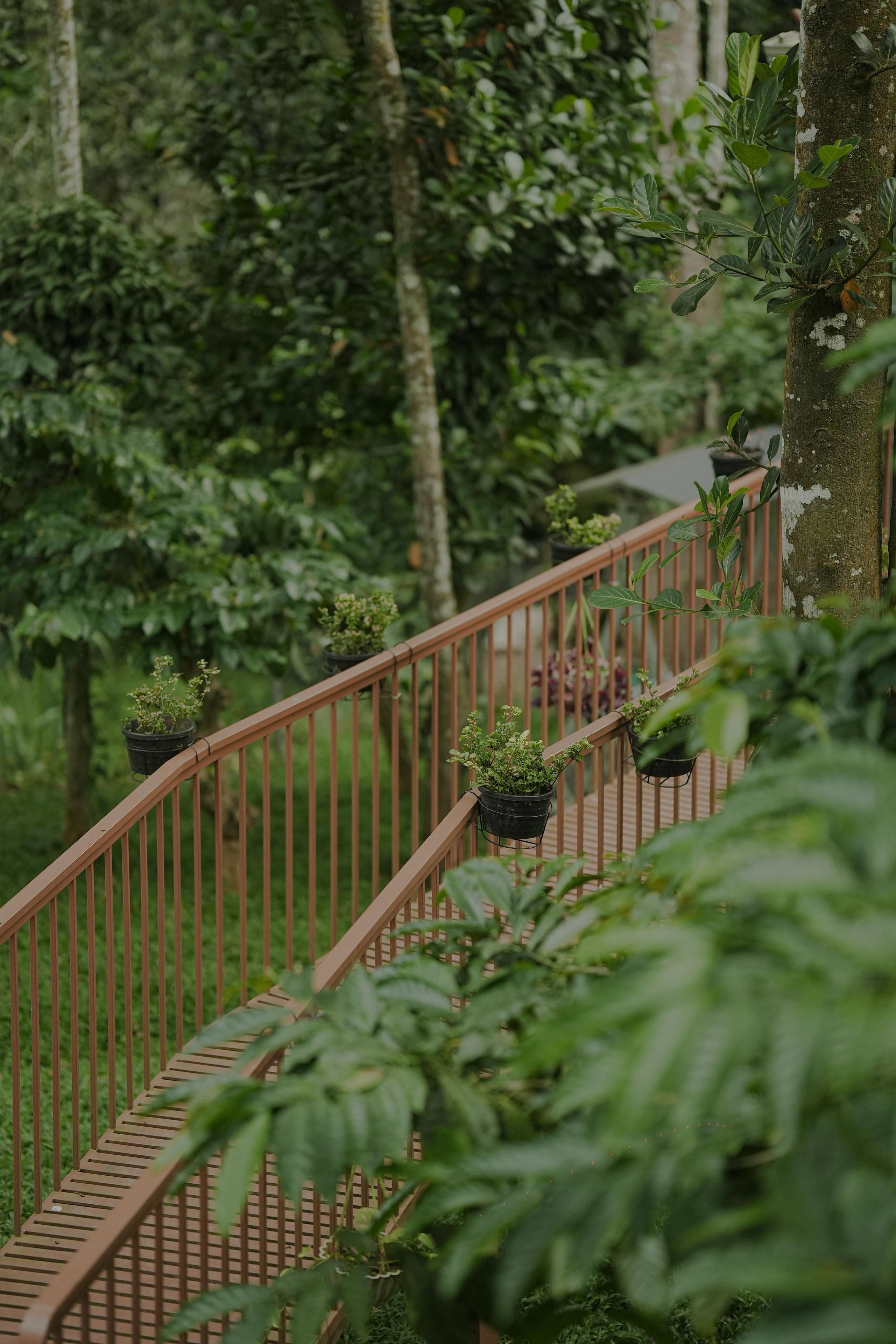 A wooden staircase with metal railings, surrounded by lush greenery and trees.