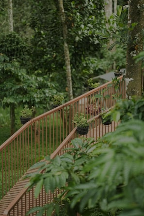 A wooden staircase with metal railings, surrounded by lush greenery and trees.