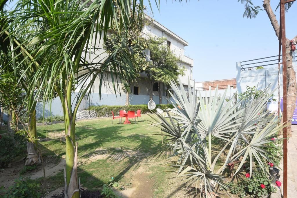 A building with a garden area, including palm trees and a large agave plant.