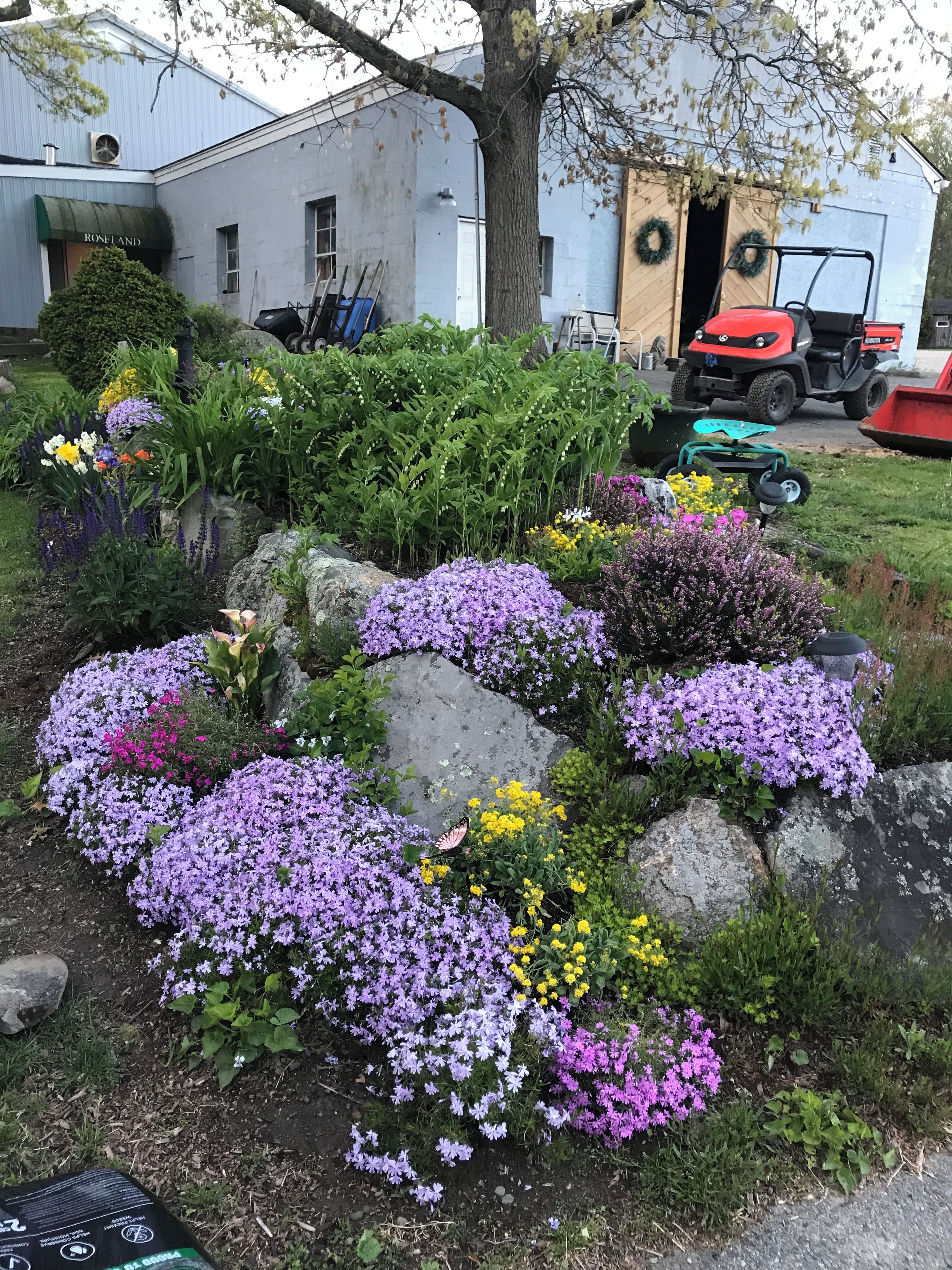 A garden with a variety of flowers and plants, a tree, and a building in the background.