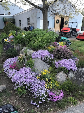 A garden with a variety of flowers and plants, a tree, and a building in the background. - Spacious 3-Bedroom Farmhouse in a Charming Equestrian Setting (Tiverton)