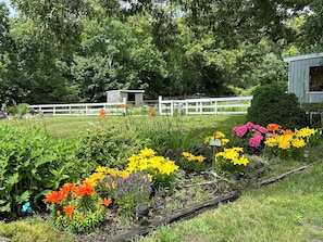 A garden with various flowers and a white fence in the background.