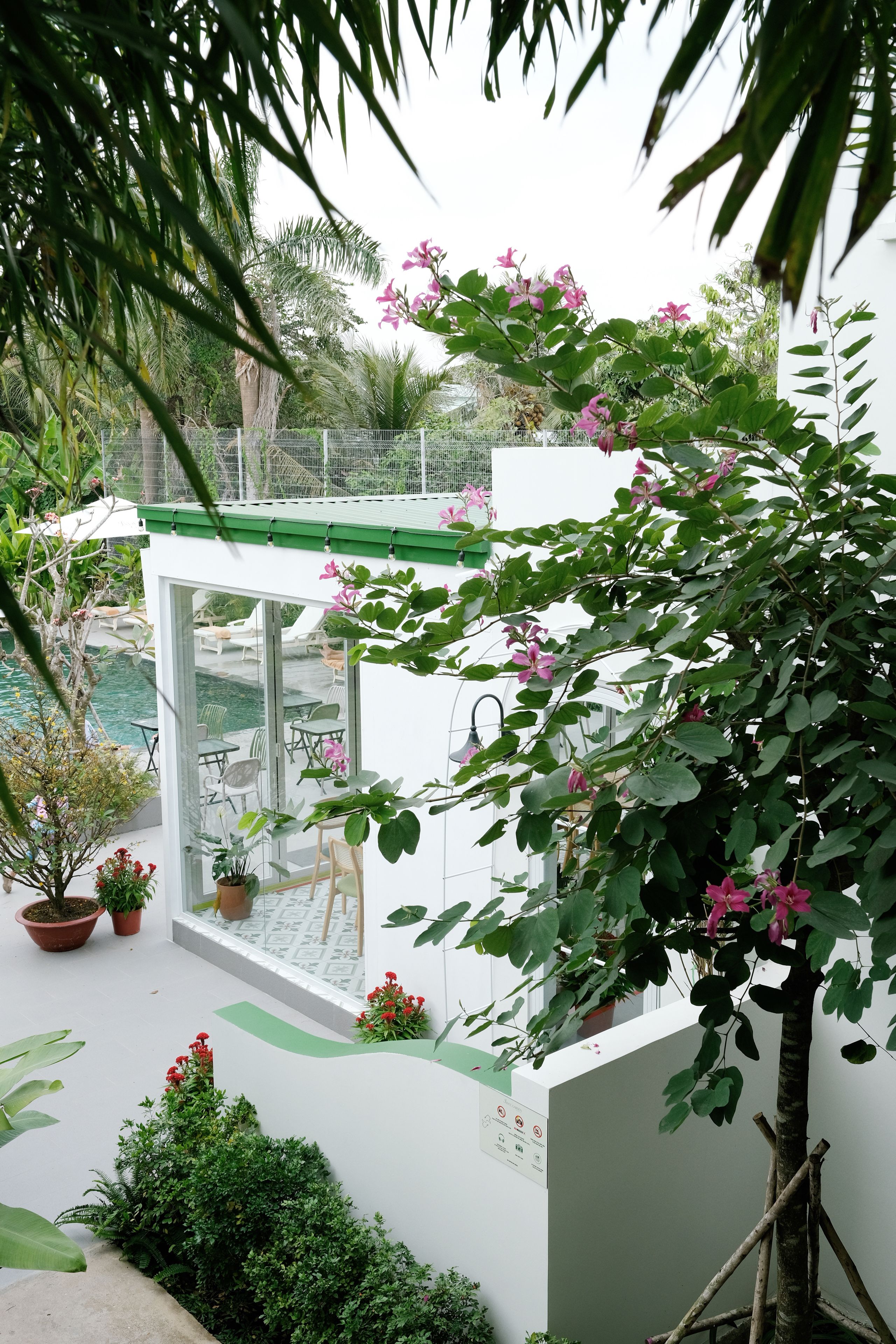 A covered outdoor seating area with tables and chairs, surrounded by lush greenery and flowering plants.