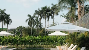 A poolside area with lounge chairs and umbrellas, surrounded by palm trees and greenery.