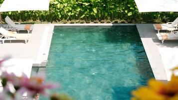 A rectangular pool with clear water, surrounded by white lounge chairs and umbrellas, and a lush green plant border.