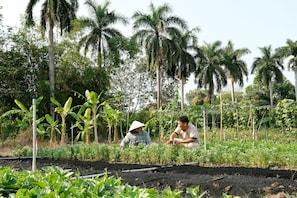 Ngoại thất