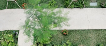 Sadec Garden Boutique Hotel