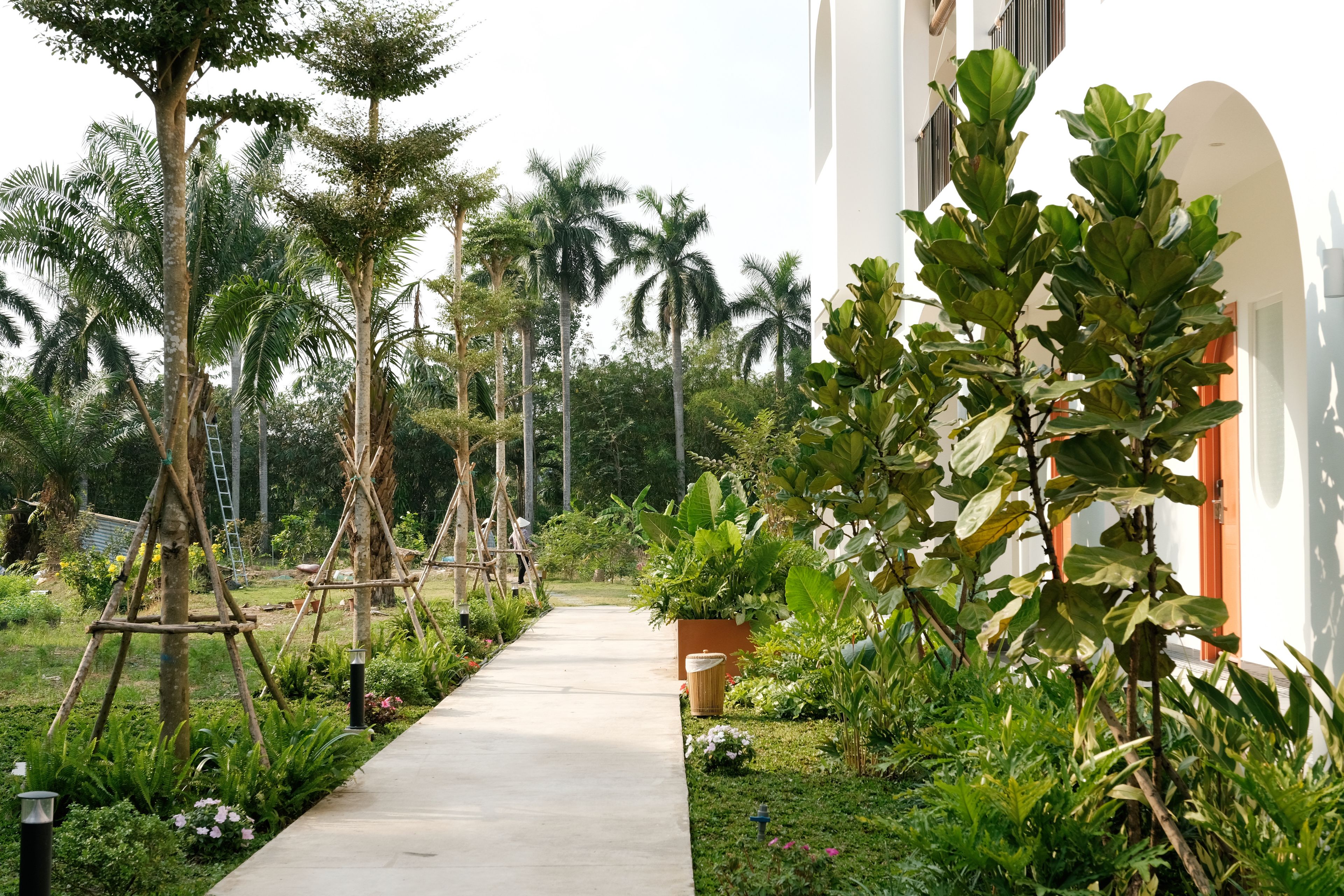 Un sentier bordé de différentes plantes et d’arbres, qui mène à un bâtiment à la façade blanche et à l’entrée en arc de cercle.