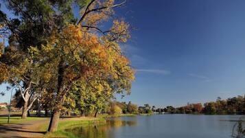 Ein Park mit einem See, Bäumen im Herbstlaub und blauem Himmel.
