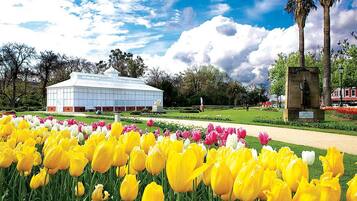 Un jardín con tulipanes amarillos y rosas, un edificio blanco y una estatua.