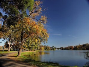Un parc amb un llac, arbres amb fullatge d'octubre i un cel serè.