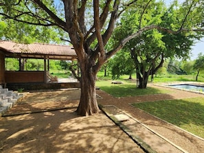 A covered outdoor area with a tree, a bench, and a swimming pool.
