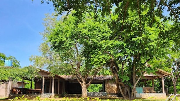 Hồ bơi ngoài trời 