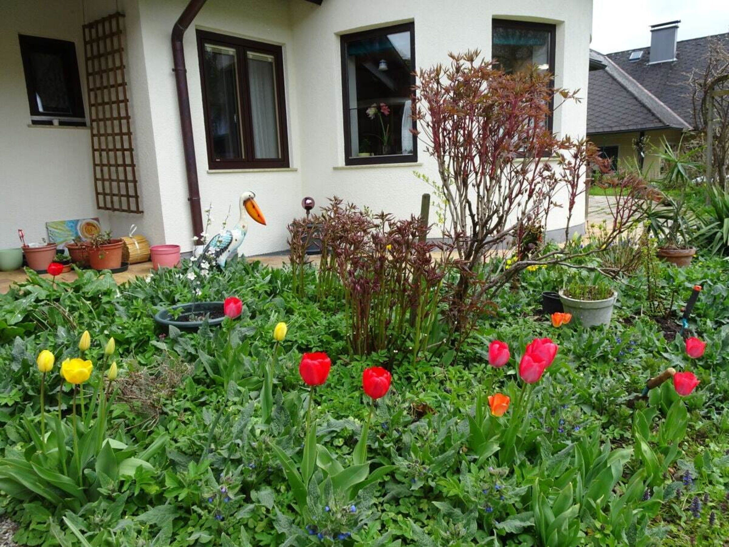 Ein Garten mit verschiedenen Pflanzen und Blumen vor einem Haus.