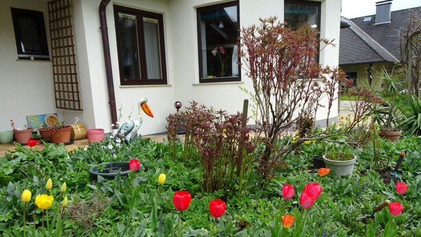 Un jardín con diversas plantas y flores frente a una casa.