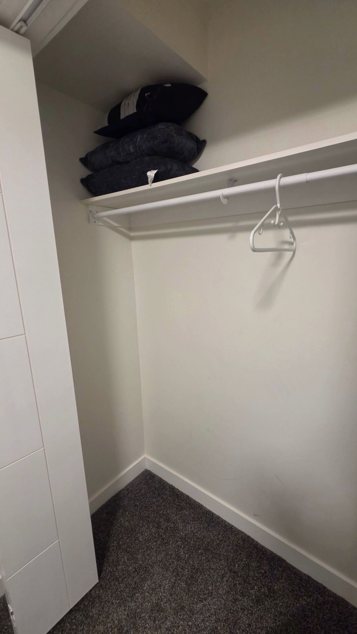 A closet with a white door, a hanging rod, and a dark carpeted floor.