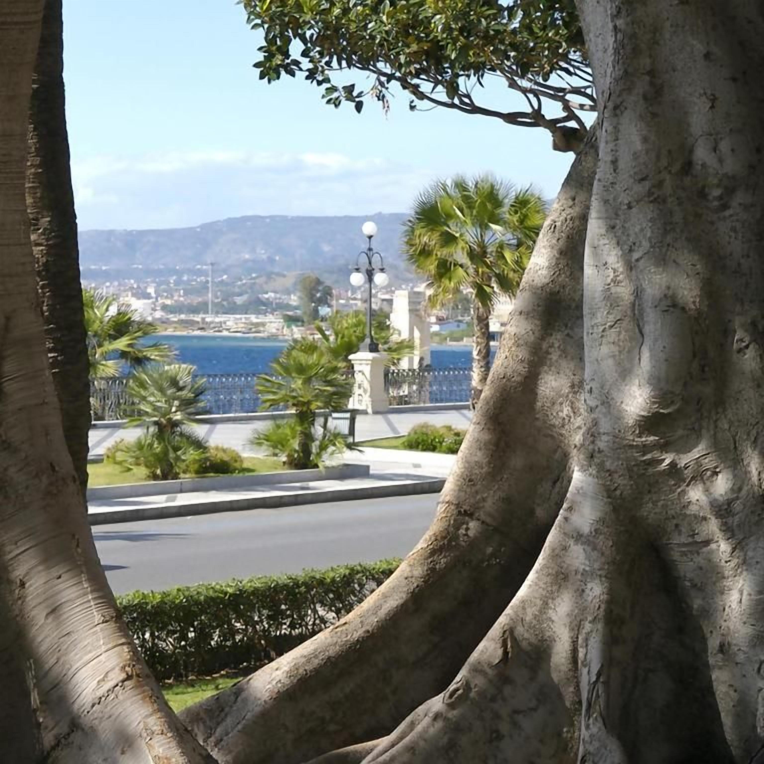 A coastal view with a road, palm trees, and a statue.