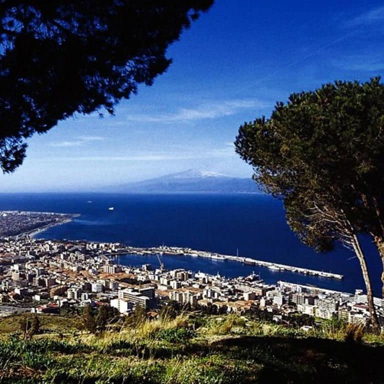Paesaggio costiero con una pianta in primo piano, vista chiara sul mare e catena montuosa all'orizzonte.
