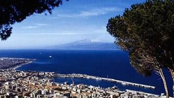 Paesaggio costiero con una pianta in primo piano, vista chiara sul mare e catena montuosa all'orizzonte.