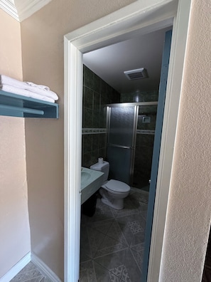 A bathroom with a toilet, sink, and shower area.