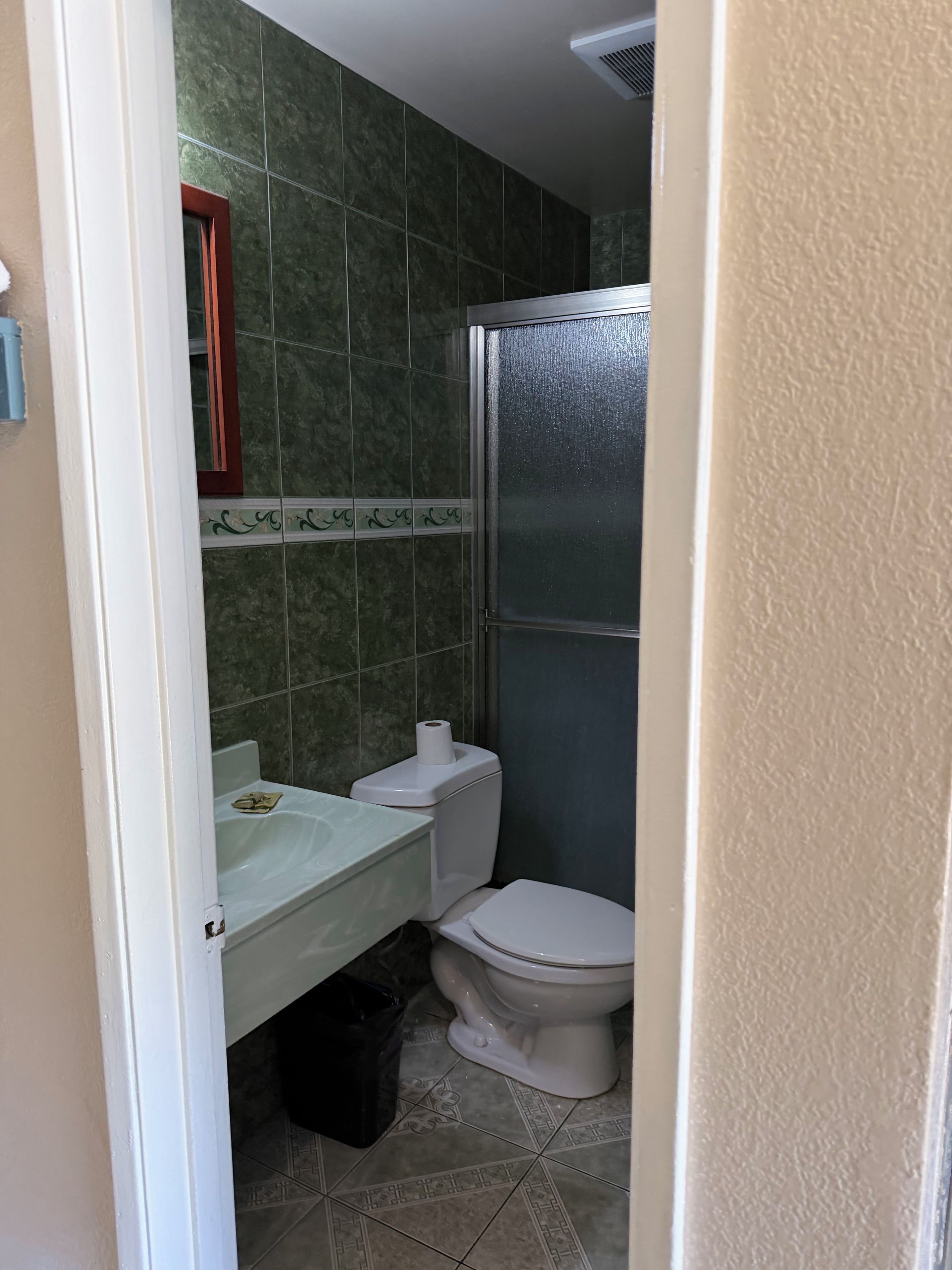 A bathroom with a toilet, a sink, and a shower enclosure.