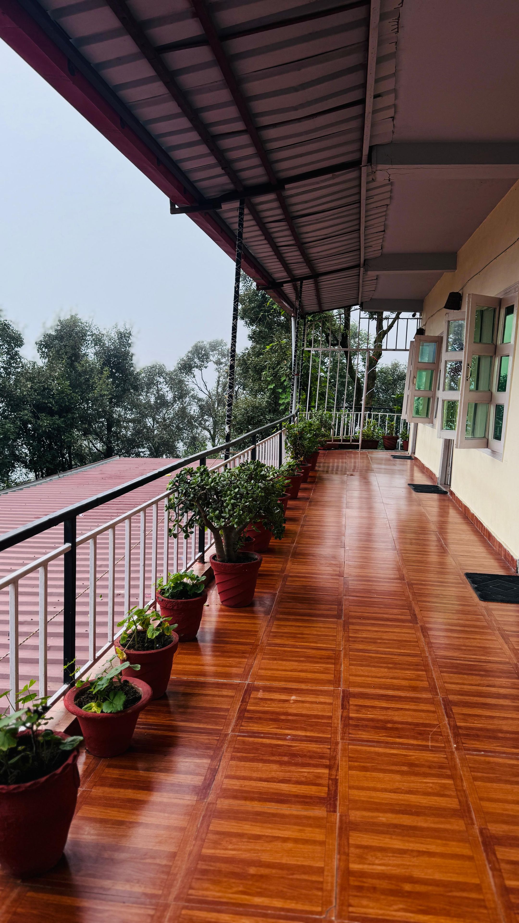 A covered balcony with potted plants and a wooden floor.