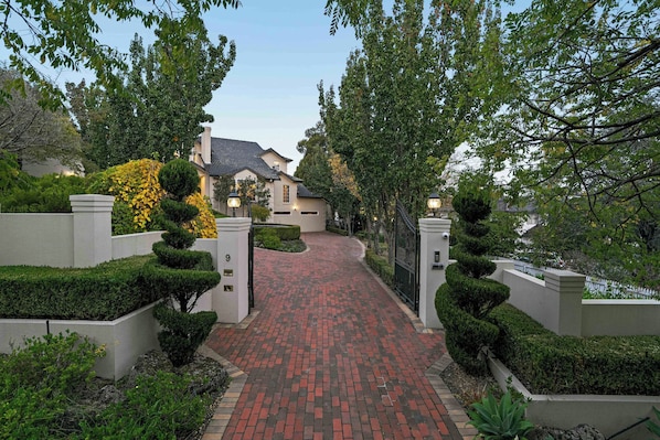 A residential area with a paved driveway leading to a house.