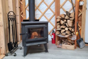 A wood-burning stove with a glass door, a fire extinguisher, and a stack of firewood.