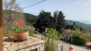 Un saliente de piedra con una planta en maceta y vistas de un pueblo con casas y árboles.
