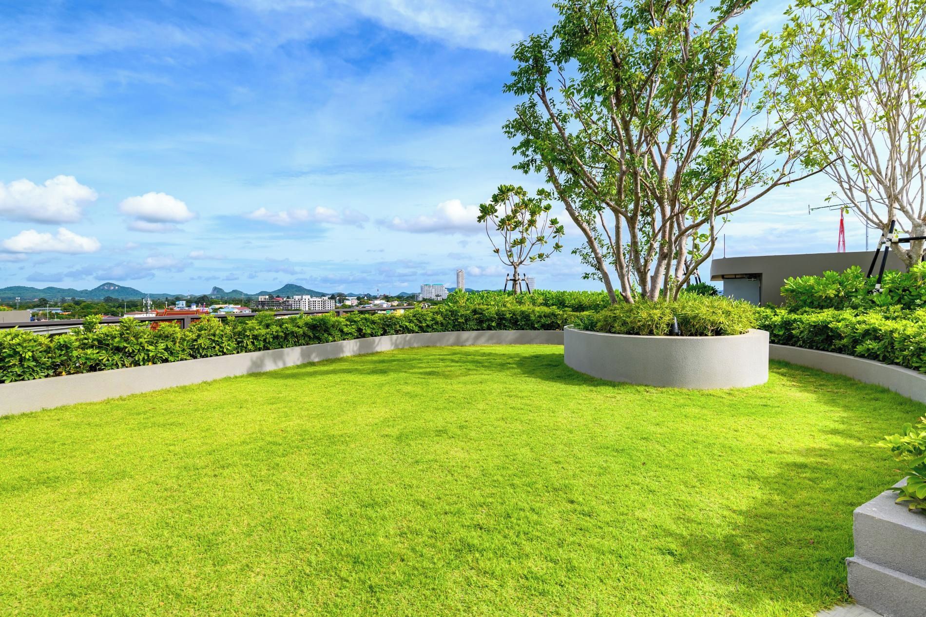 A landscaped rooftop garden with a well-maintained lawn, a large tree, and a view of distant buildings and mountains.