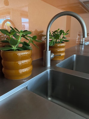 Eine Küche mit Edelstahl-Spülen, einem modernen Wasserhahn und zwei Zimmerpflanzen in gelben Töpfen.