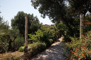 Ein steiniger Weg führt durch einen Garten mit verschiedenen Pflanzen und Bäumen.