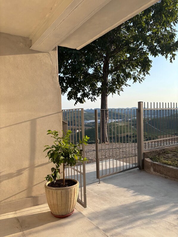 A balcony with a potted plant, a metal gate, and a view of a hilly landscape.