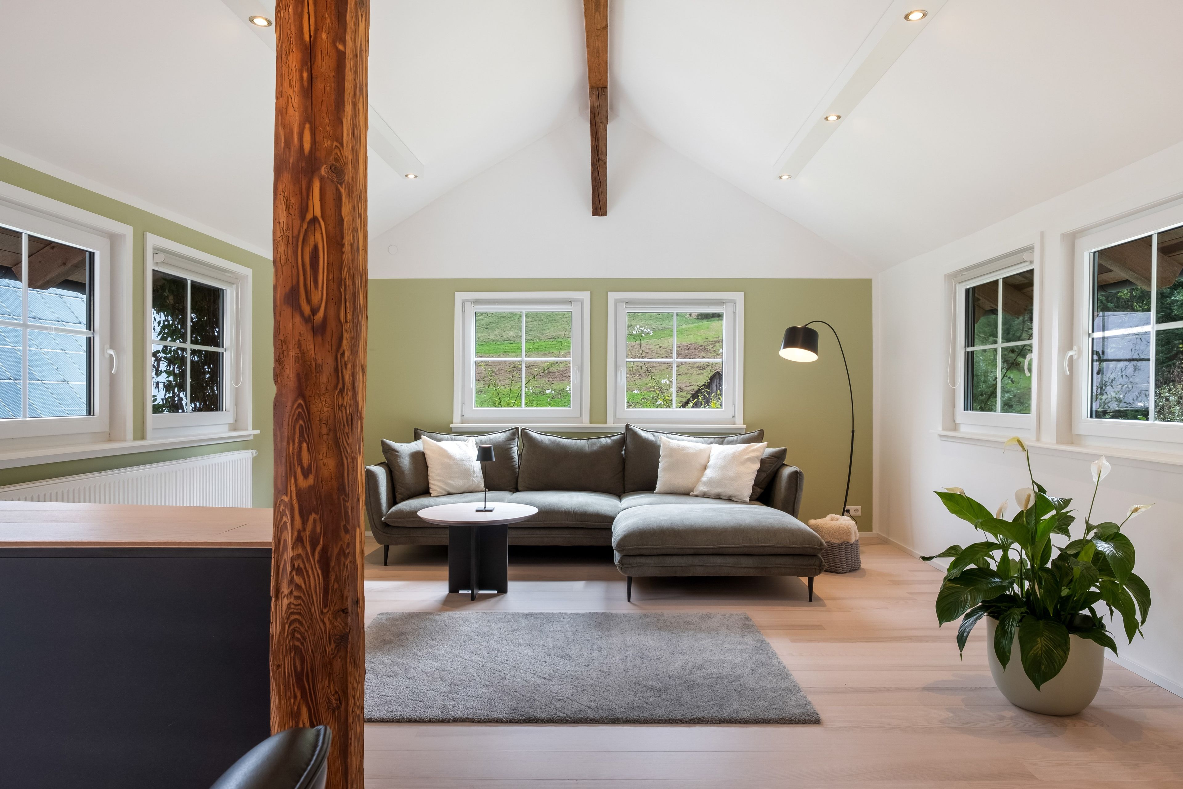 A modern living room with a sectional sofa, a round coffee table, and a large potted plant.