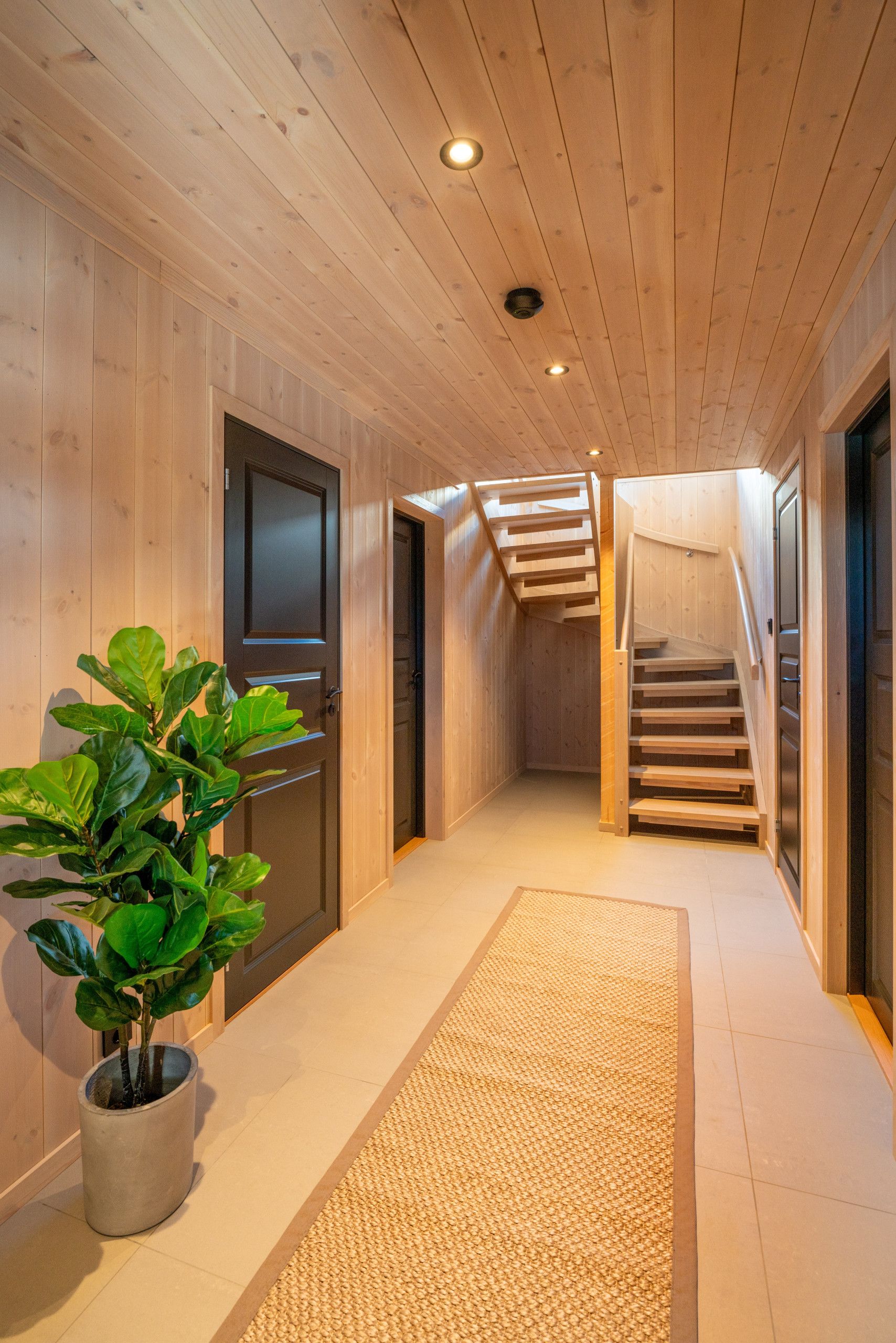 Un couloir intérieur en bois, agrémenté d’une plante en pot, d’un escalier et d’une porte.