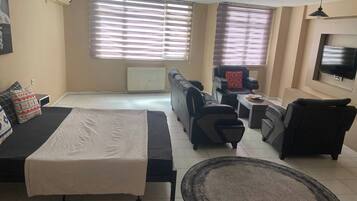 A bedroom with a bed, a sofa, a chair, a TV, and a radiator.