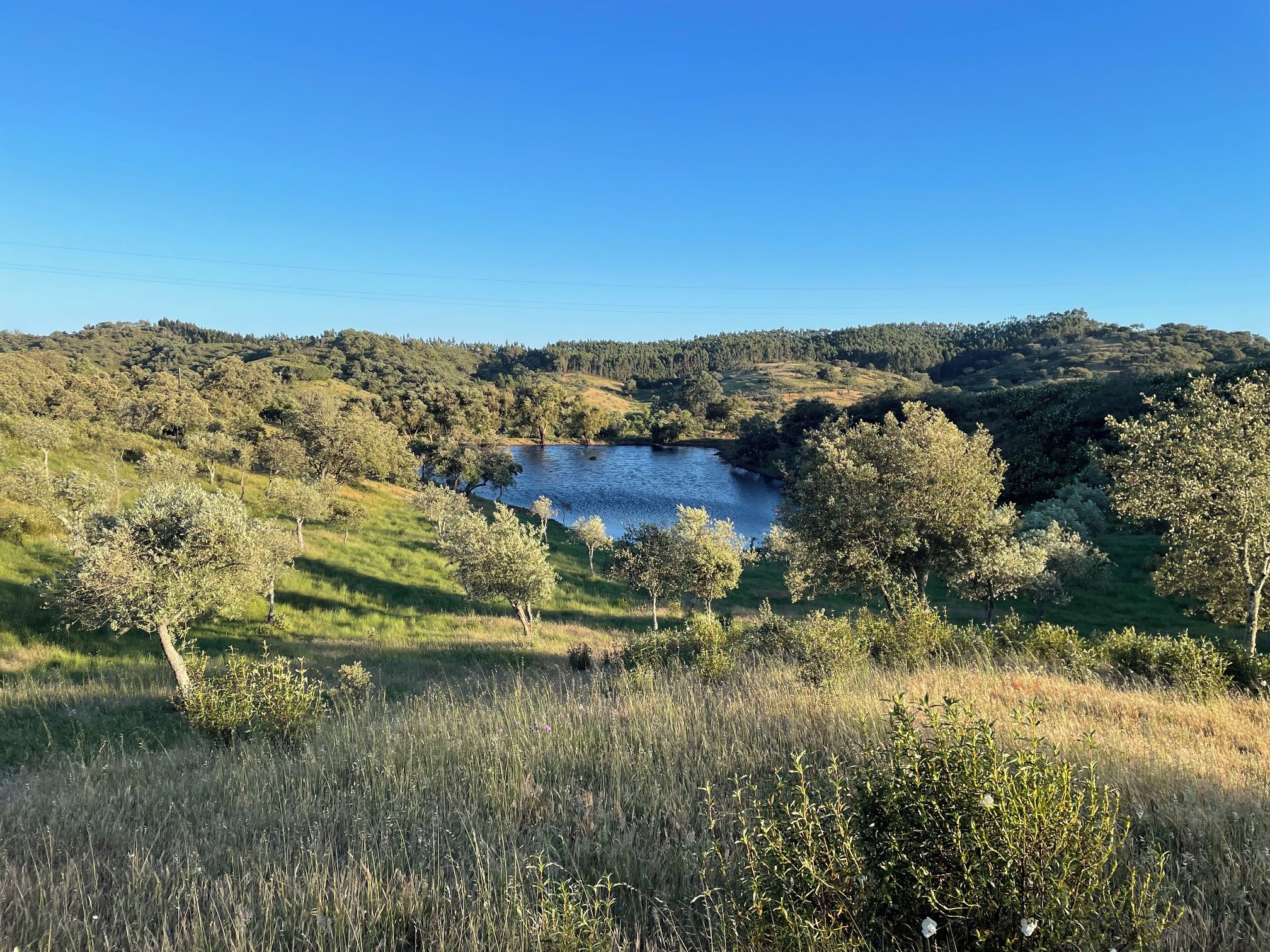 A natural landscape with a lake surrounded by hills and trees.