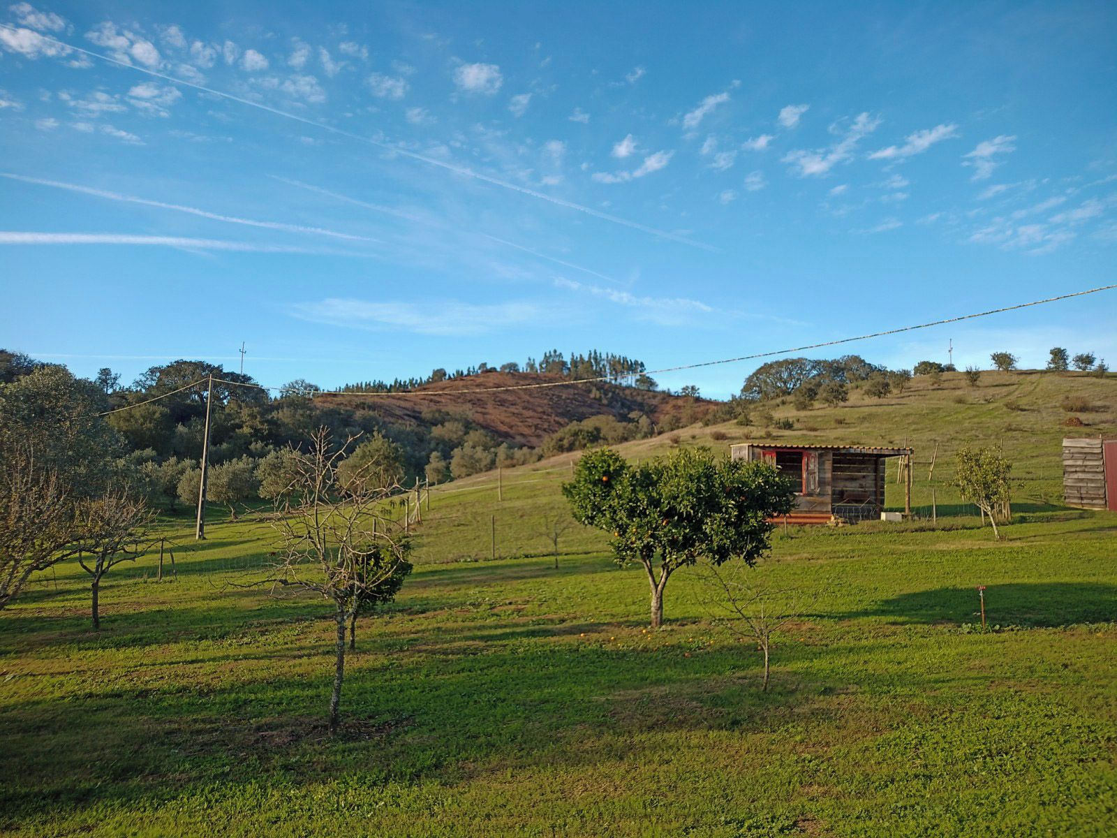 Un paysage rural avec une cabane en bois, des champs ouverts et une colline en arrière-plan.