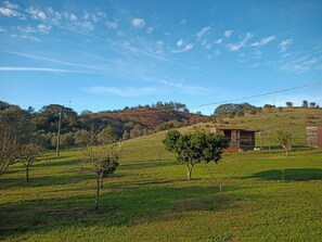 Un paisaje rural con una cabaña de madera, campos abiertos y una colina al fondo.