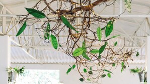 Una larga mesa de madera dispuesta para una comida, con sillas, una rama colgante con hojas y vistas al verdor exterior.